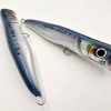 Diving popper 170 Blue sardine